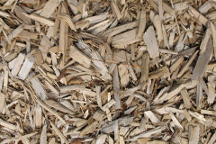 biomass boilers Merry Oak